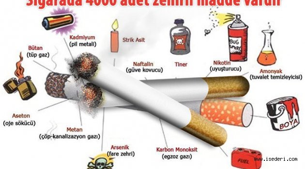 Sigaranın Vücudumuza Zararları Nelerdir