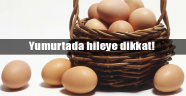 DİKKAT !.Tavuk Pisliğine Bulanmış Yumurtayı 'Köy Yumurtası' Diye Satıyorlar