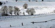 Kar yağışları, tarım alanlarında kuraklığa karşı sigorta oldu