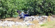 Malatya'da bahçede erkek cesedi bulundu