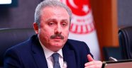TBMM Anayasa Komisyonu Başkanı Şentop: Başkanlık sistemi Türkiye'de istikrarı garanti etmek için gerekli